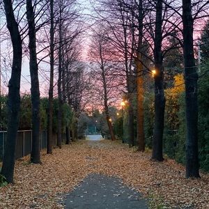 Meet your Posher, Rania